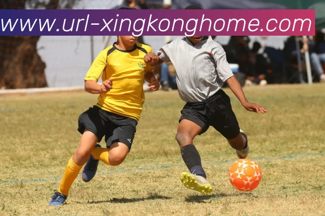 星空体育发展历程